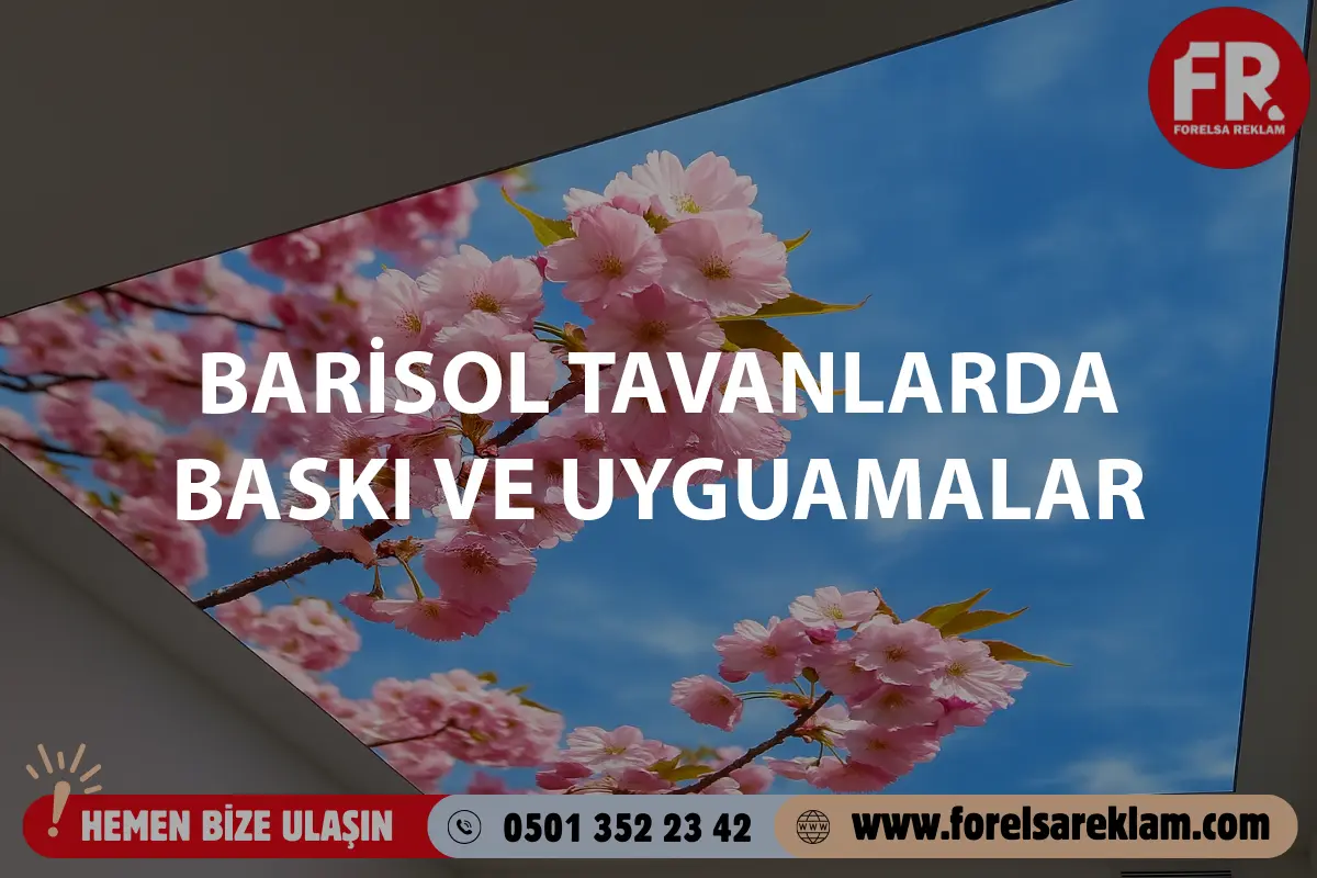 Barisol Tavanlarda Baskı ve Uygulamalar 1 Barisol Tavanlarda Baskı ve Uygulamalar Barisol Tavanlarda Baskı ve Uygulamalar