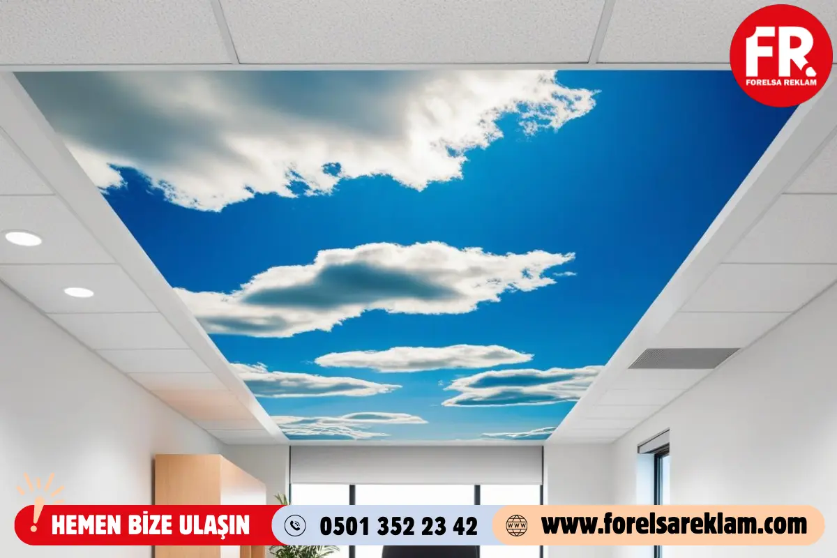 Ofis ve İç Mekanlar için Barisol Baskı Önerileri